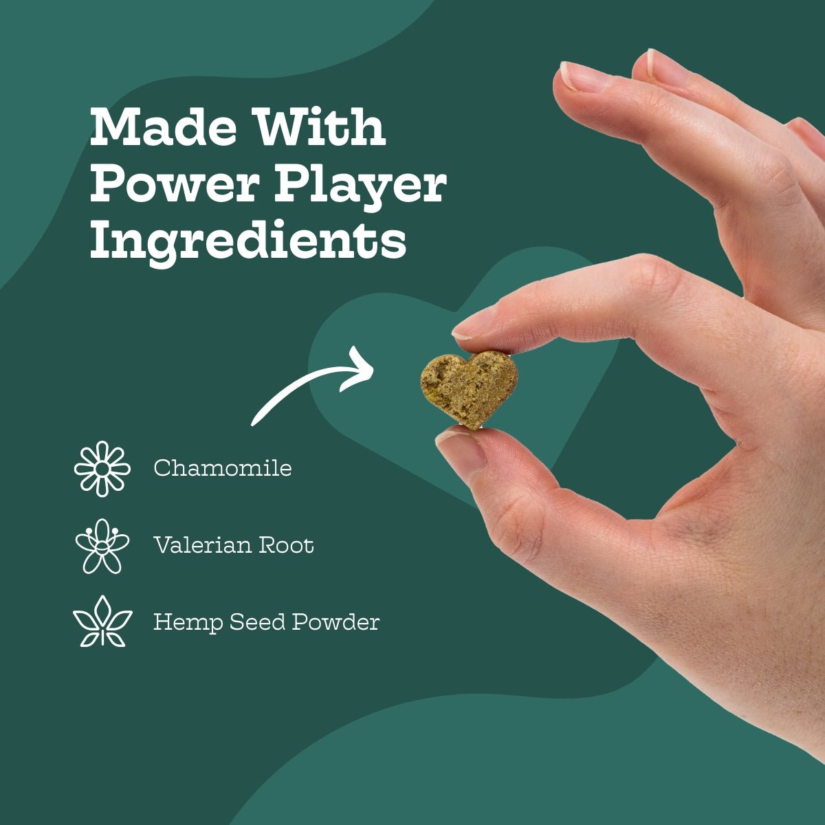 Calming Chews for Dogs with Hemp, Chamomile & Chicken Flavor