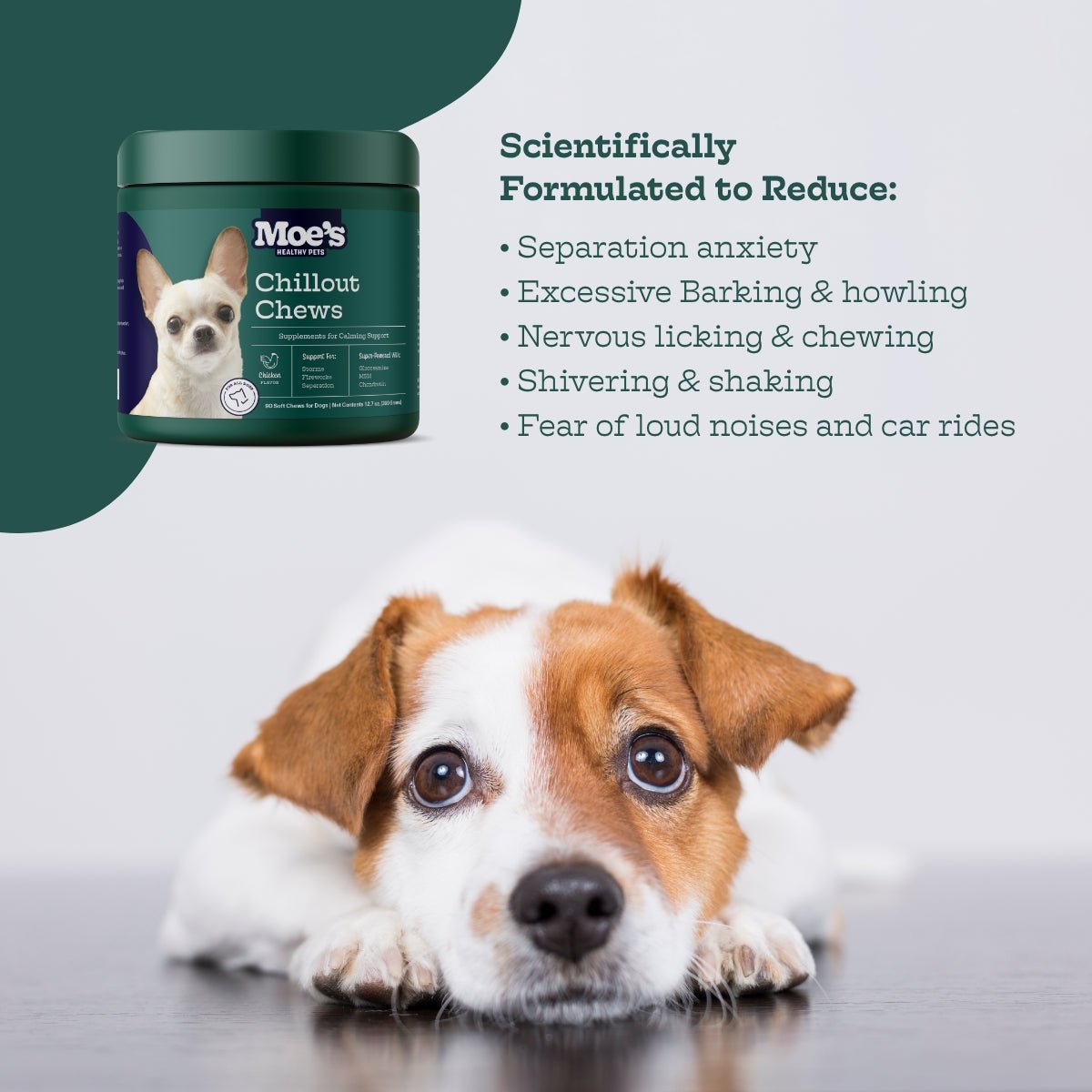 Calming Chews for Dogs with Hemp, Chamomile & Chicken Flavor