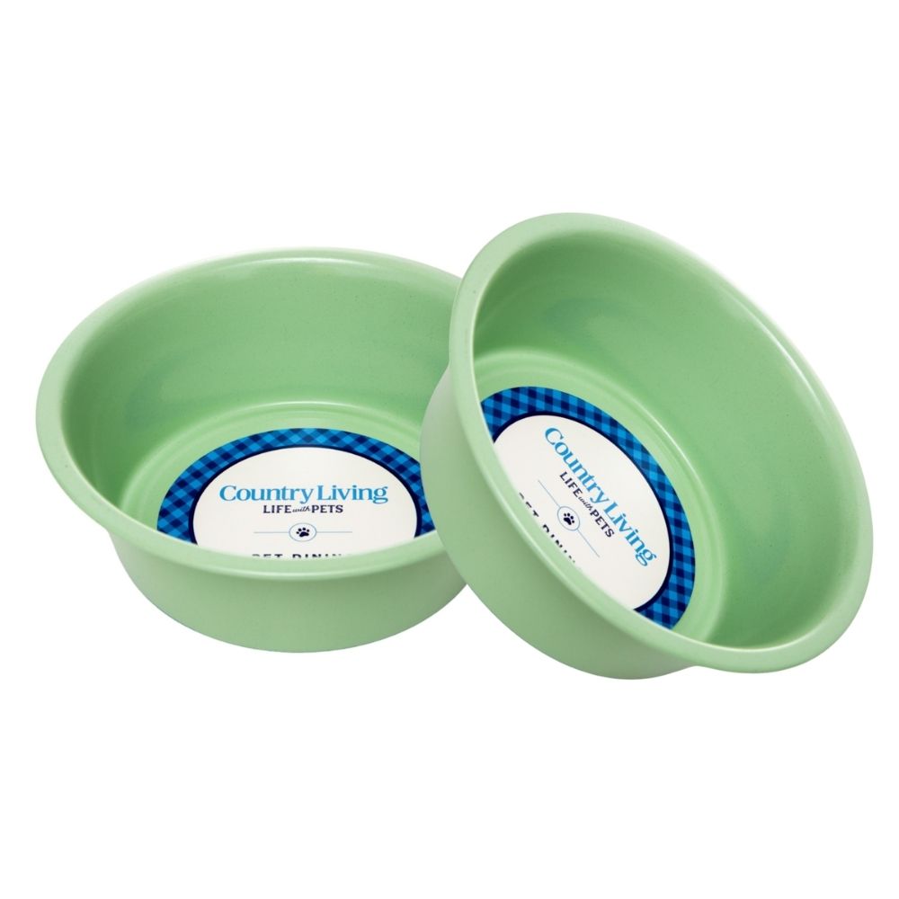 Stainless Steel Dog Bowl with Non-Slip Base – Pink, Green, or Blue