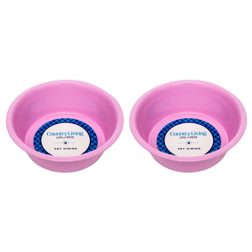 Stainless Steel Dog Bowl with Non-Slip Base – Pink, Green, or Blue