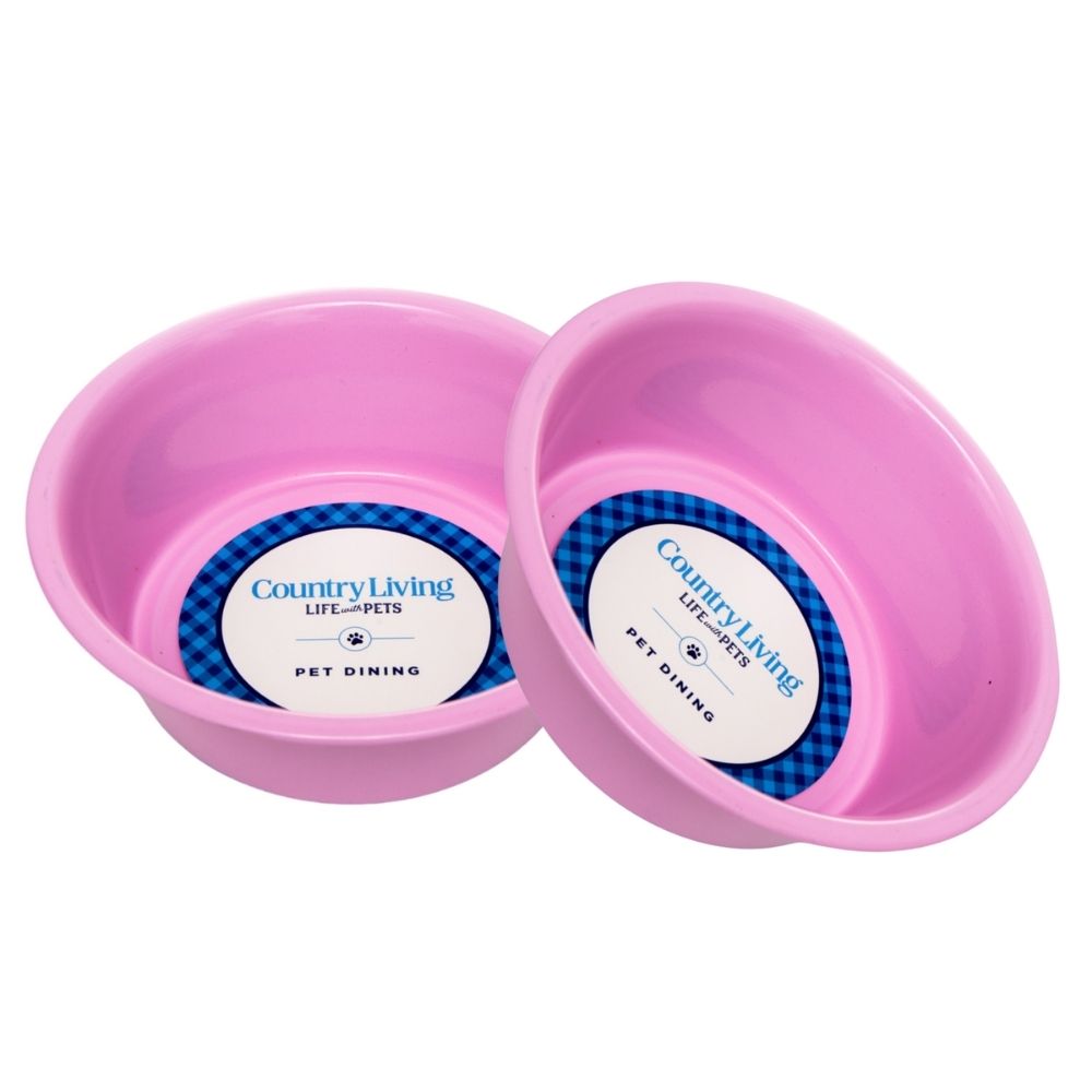 Stainless Steel Dog Bowl with Non-Slip Base – Pink, Green, or Blue