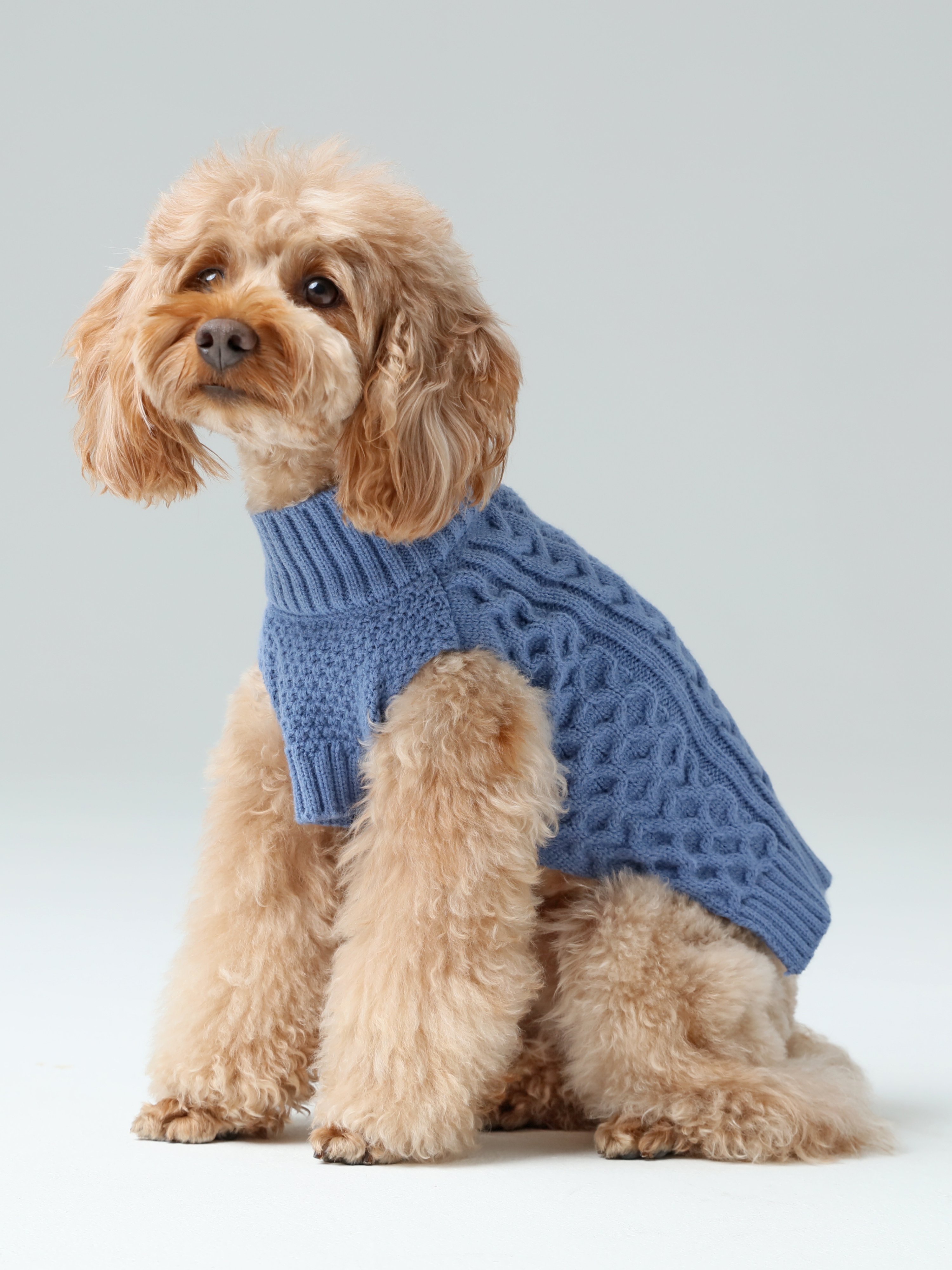 Knit Pet Sweater in Breathable Acrylic Fiber