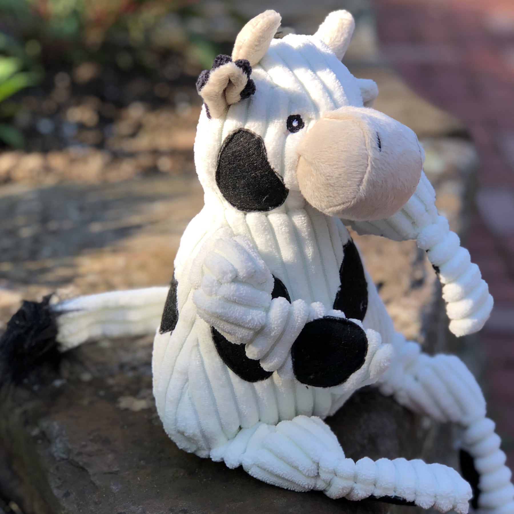 Knotted Plush Dog Toy with Tuffut Technology, Multiple Squeakers