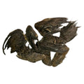 Quail Wings for Dog Scent Training – Pack of 10