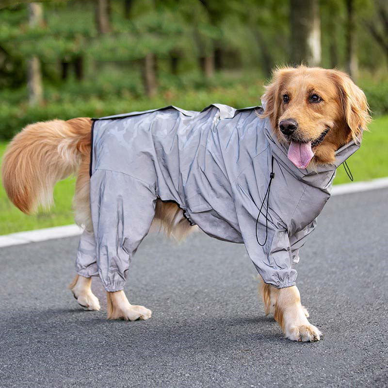 Sporty Four-Leg Dog Outfit in Silver or Emerald Green, Polyester
