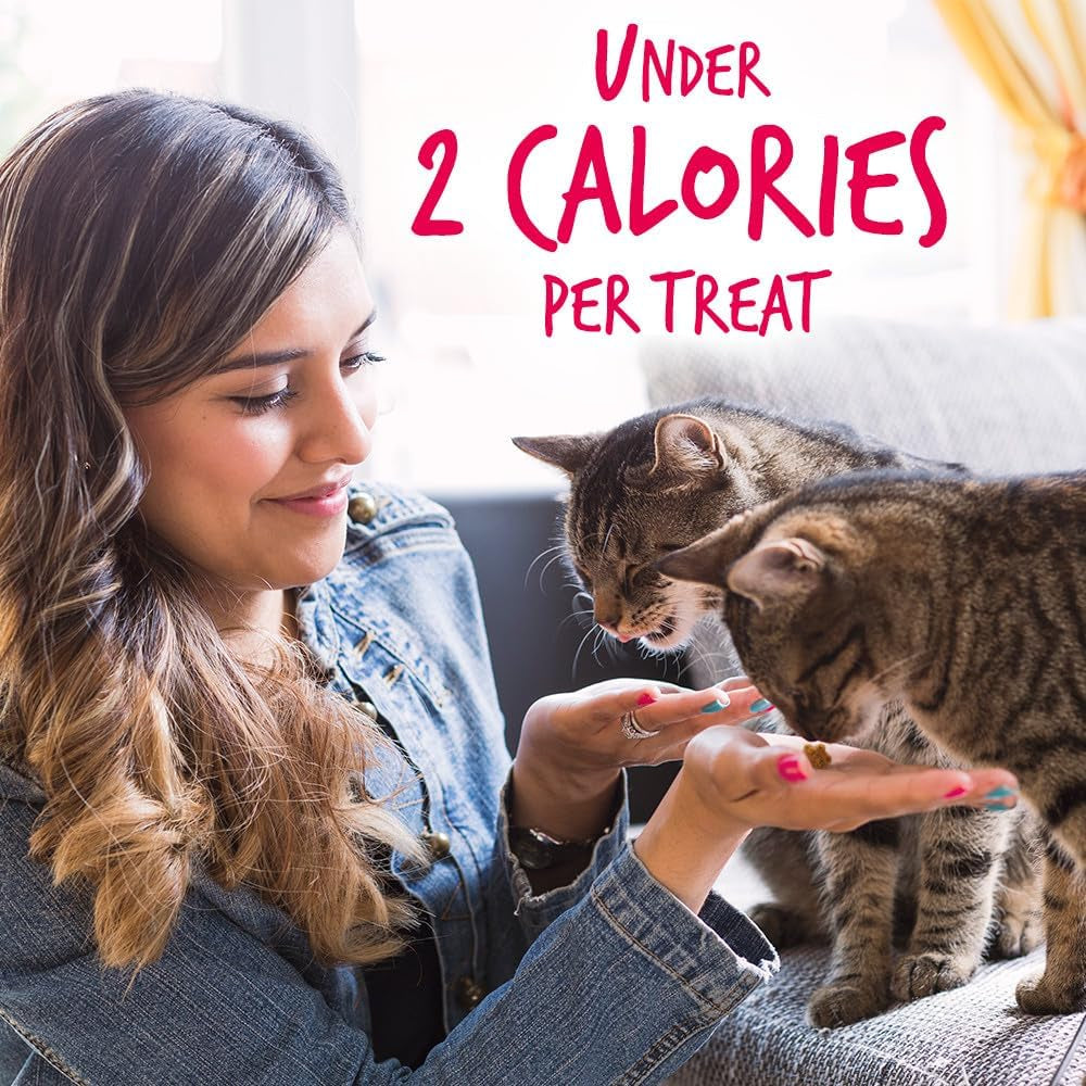Crunchy Salmon Cat Treats with Superfoods, Low Calorie