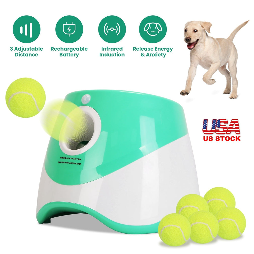 Automatic Ball Launcher for Small to Medium Dogs with 6 Tennis Balls