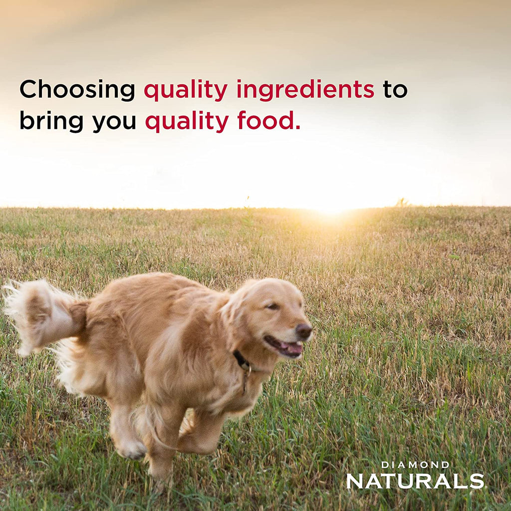 Small Breed Dog Food with Pasture-Raised Lamb and Rice