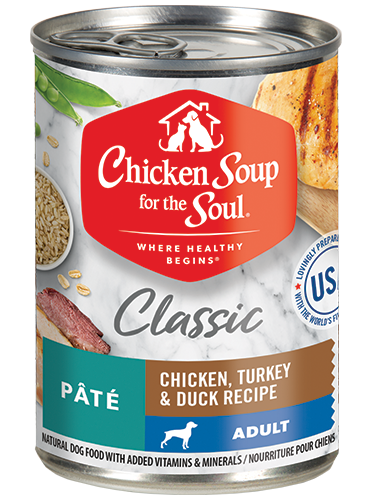 Chicken & Turkey Recipe Wet Dog Food for Adults