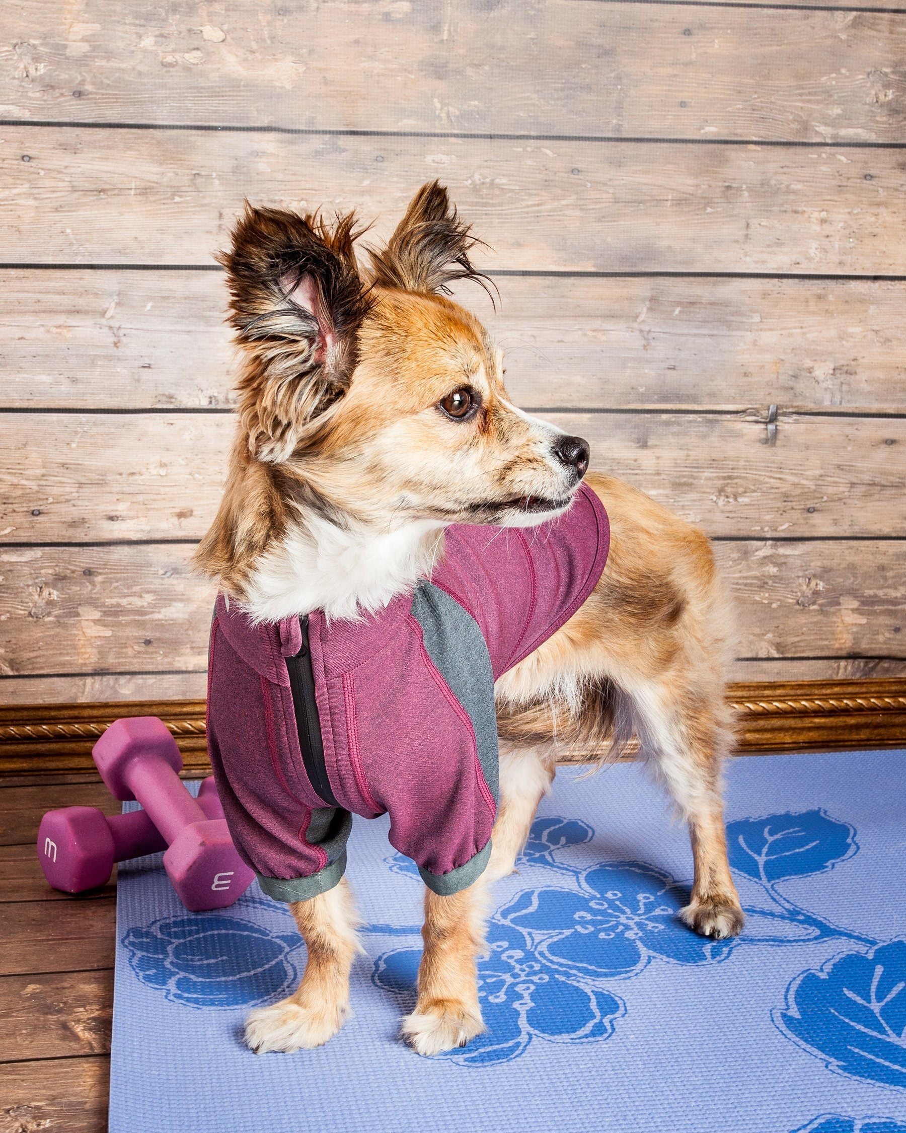 Dog Yoga T-Shirt with 4-Way Stretch and Reflective Trim
