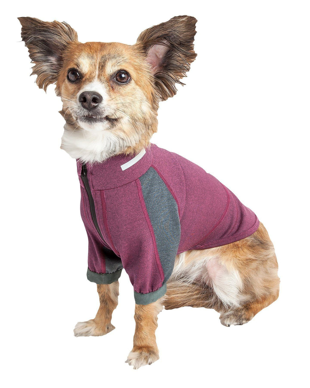 Dog Yoga T-Shirt with 4-Way Stretch and Reflective Trim