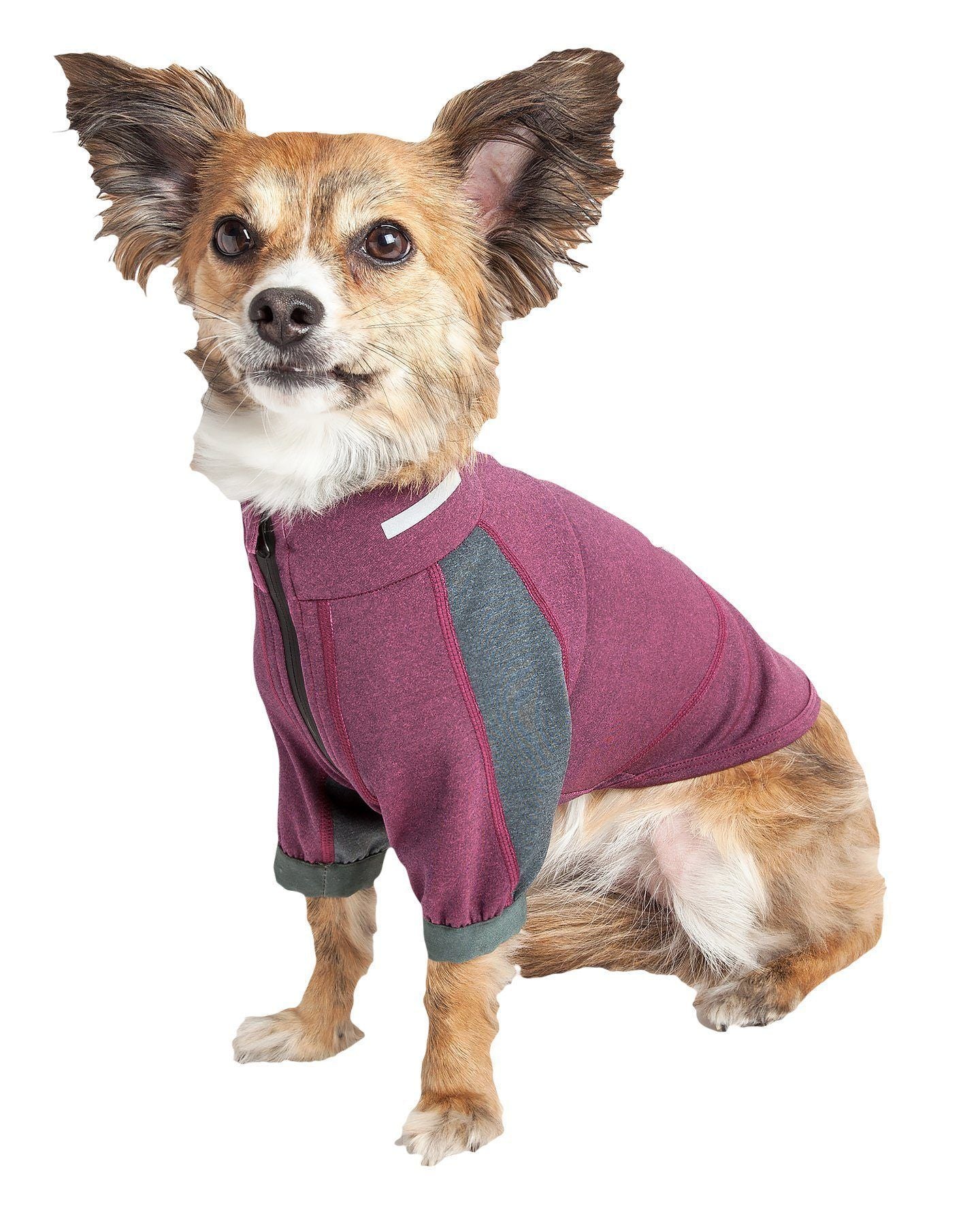 Dog Yoga T-Shirt with 4-Way Stretch and Reflective Trim