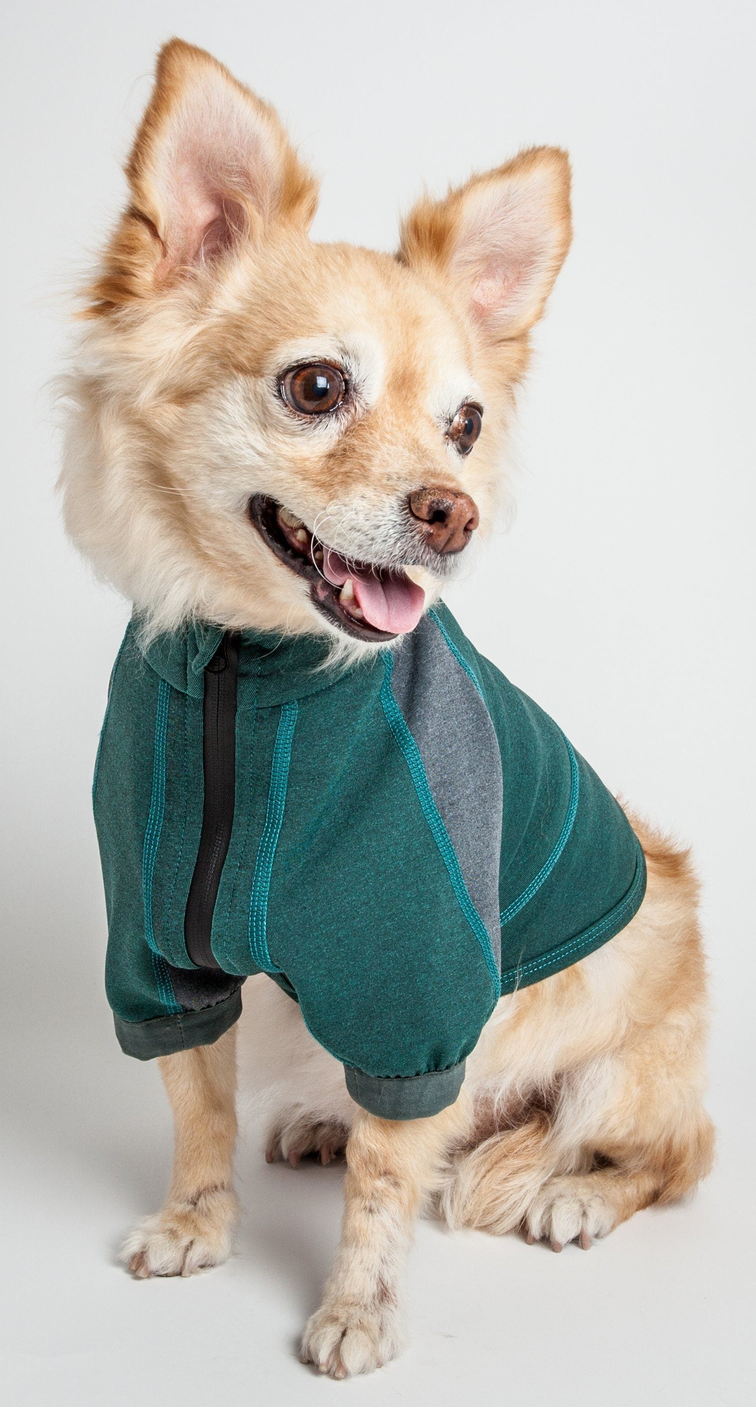 Dog Yoga T-Shirt with 4-Way Stretch and Reflective Trim