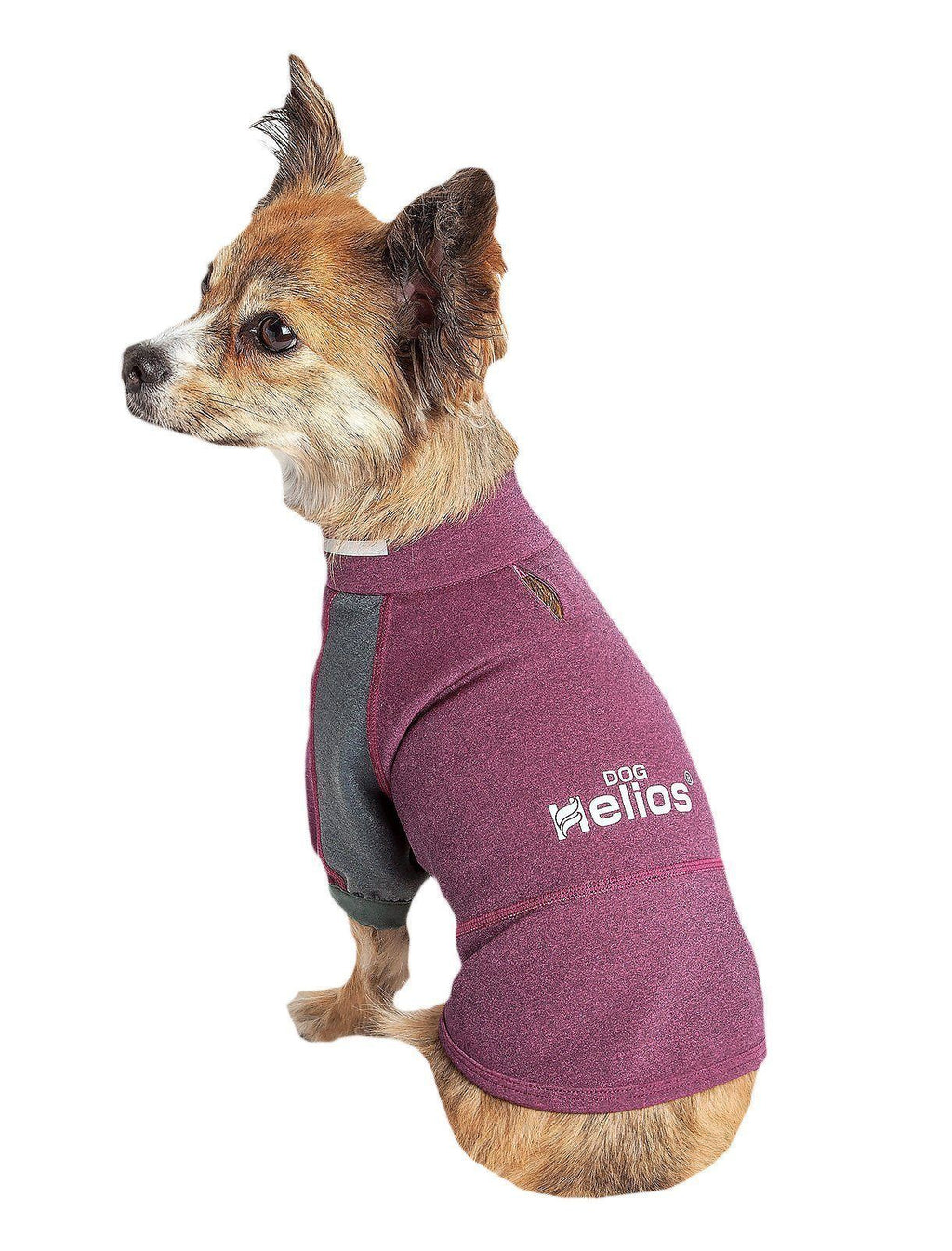 Dog Yoga T-Shirt with 4-Way Stretch and Reflective Trim