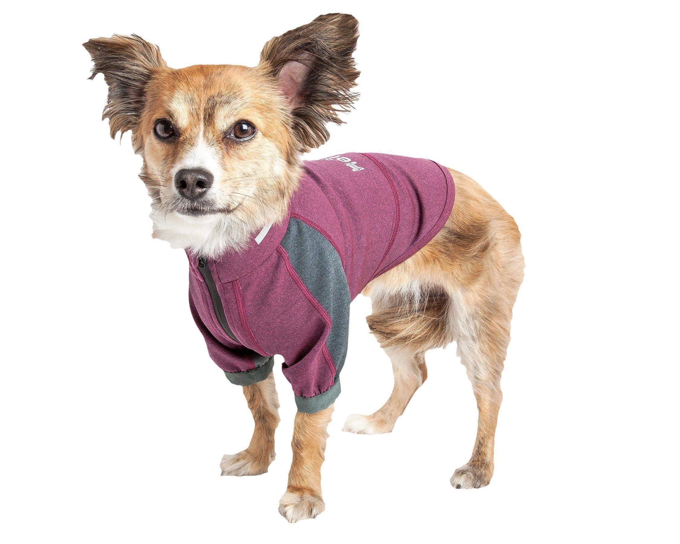 Dog Yoga T-Shirt with 4-Way Stretch and Reflective Trim