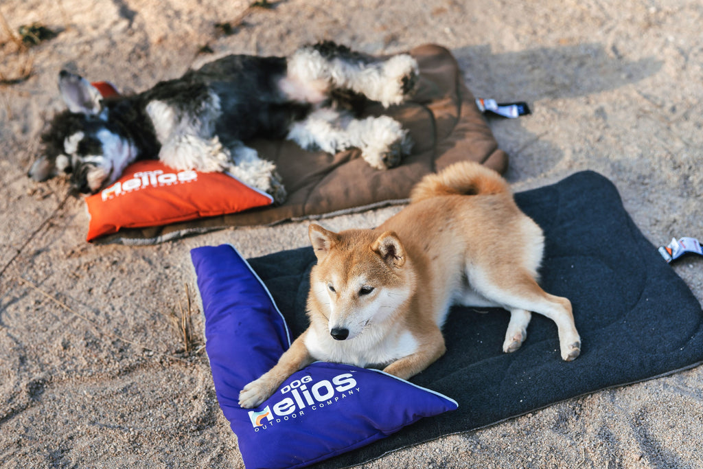 Expedition Sporty Travel Camping Pillow Dog Bed, Fleece, 37.4" x 23.6"