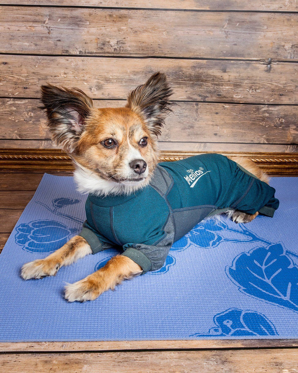 Rufflex 4-Way Stretch Mediumweight Dog Tracksuit Jacket