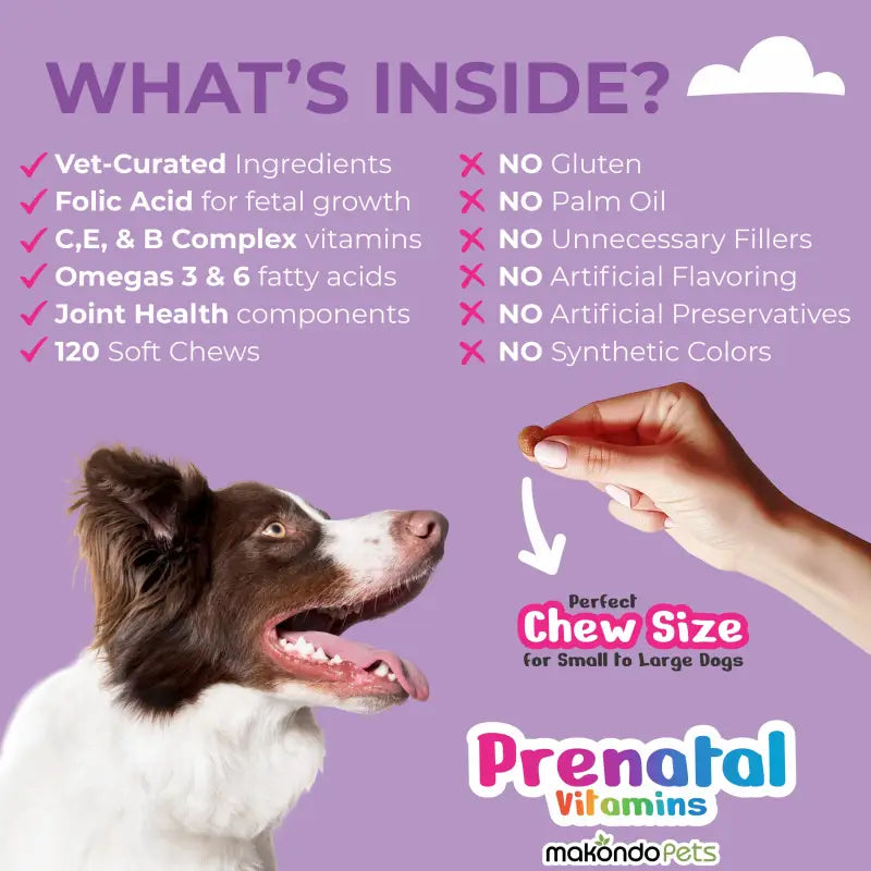 Dog Prenatal Vitamins - 120 Soft Chews