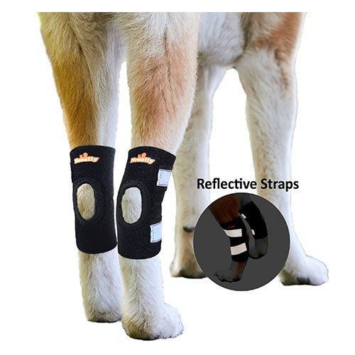 Back Hock Dog Braces, Pair – Neoprene and Nylon Support
