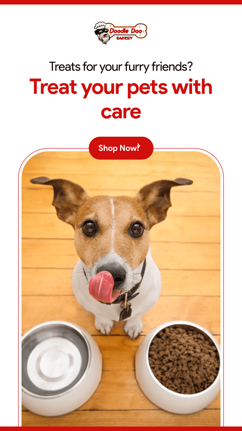 Dog Treat Variety Pack – 1 lb Assorted Flavors