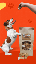 Dog Treat Variety Pack – 1 lb Assorted Flavors