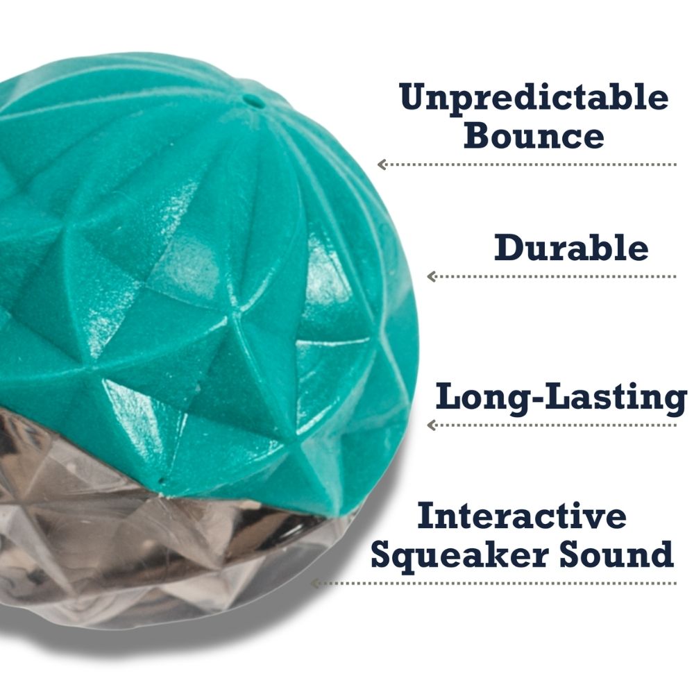 Geometric Textured Ball Dog Chew Toy with Squeaker
