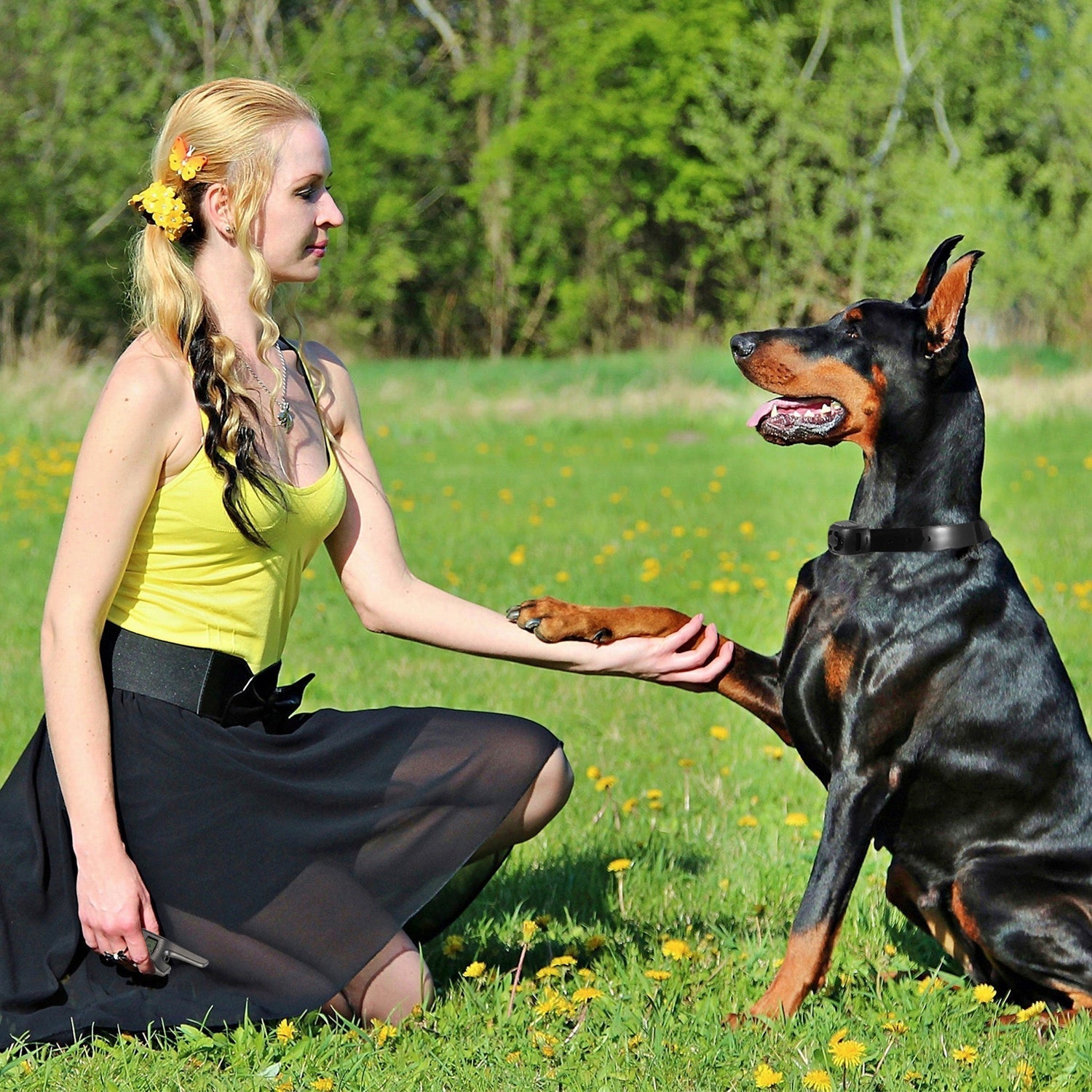 Waterproof Dog Bark Collar with Remote and Adjustable Modes