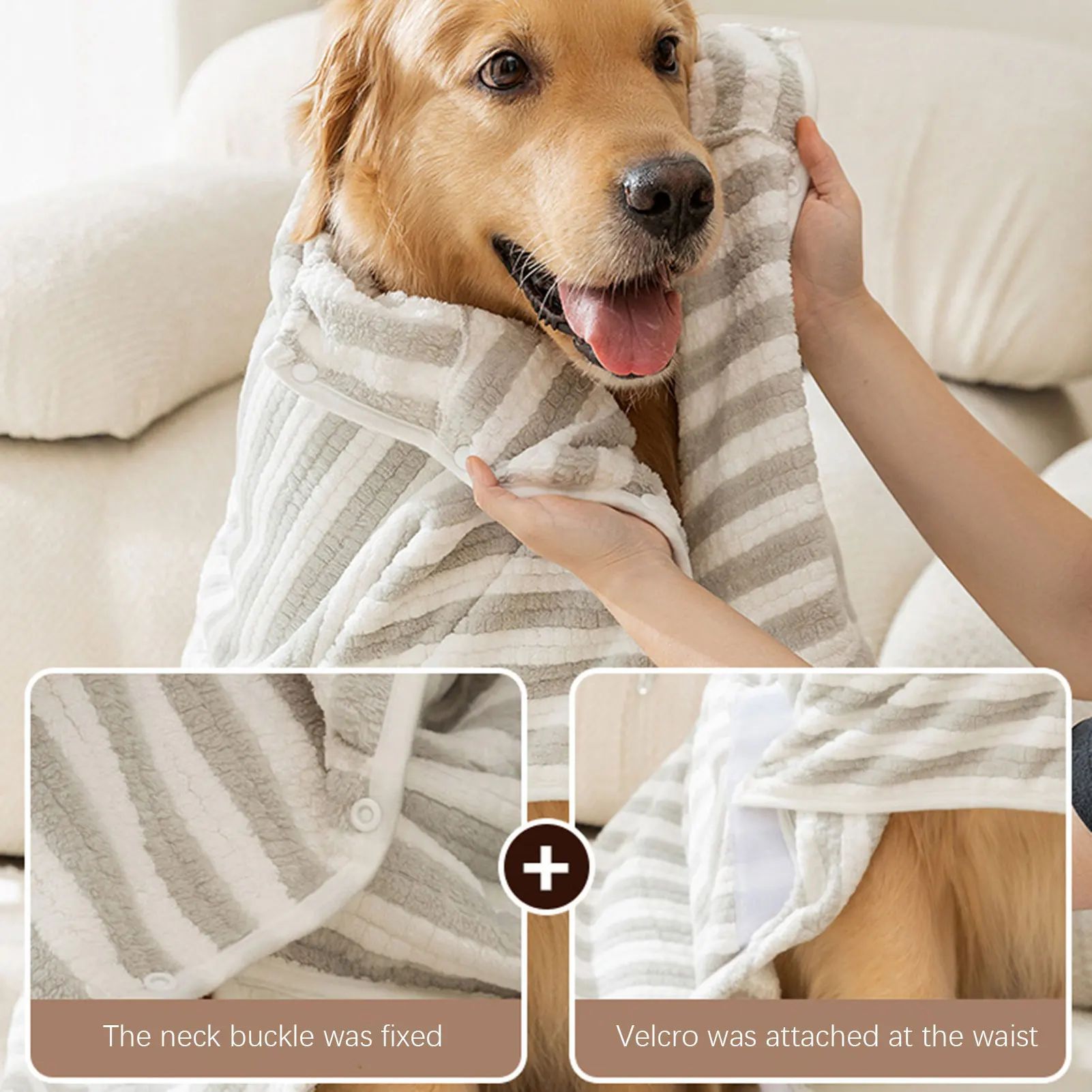Spacious Dog Bed for All Sizes – Four Size Options