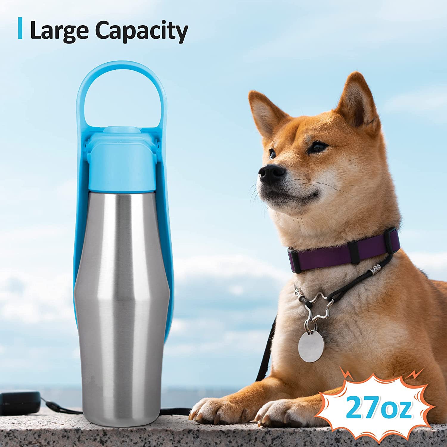 Portable Stainless Steel Pet Water Bottle, 750ml