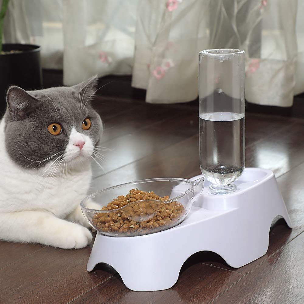 2-in-1 Cat and Small Dog Feeder with Automatic Water Dispenser