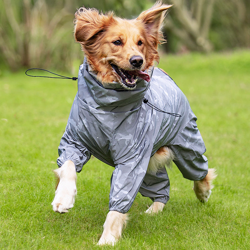 Sporty Four-Leg Dog Outfit in Silver or Emerald Green, Polyester