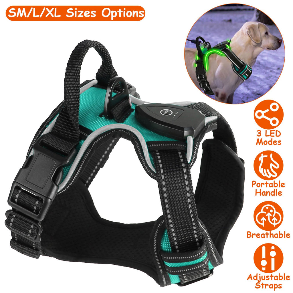 Rechargeable LED Dog Harness with Reflective Stitching