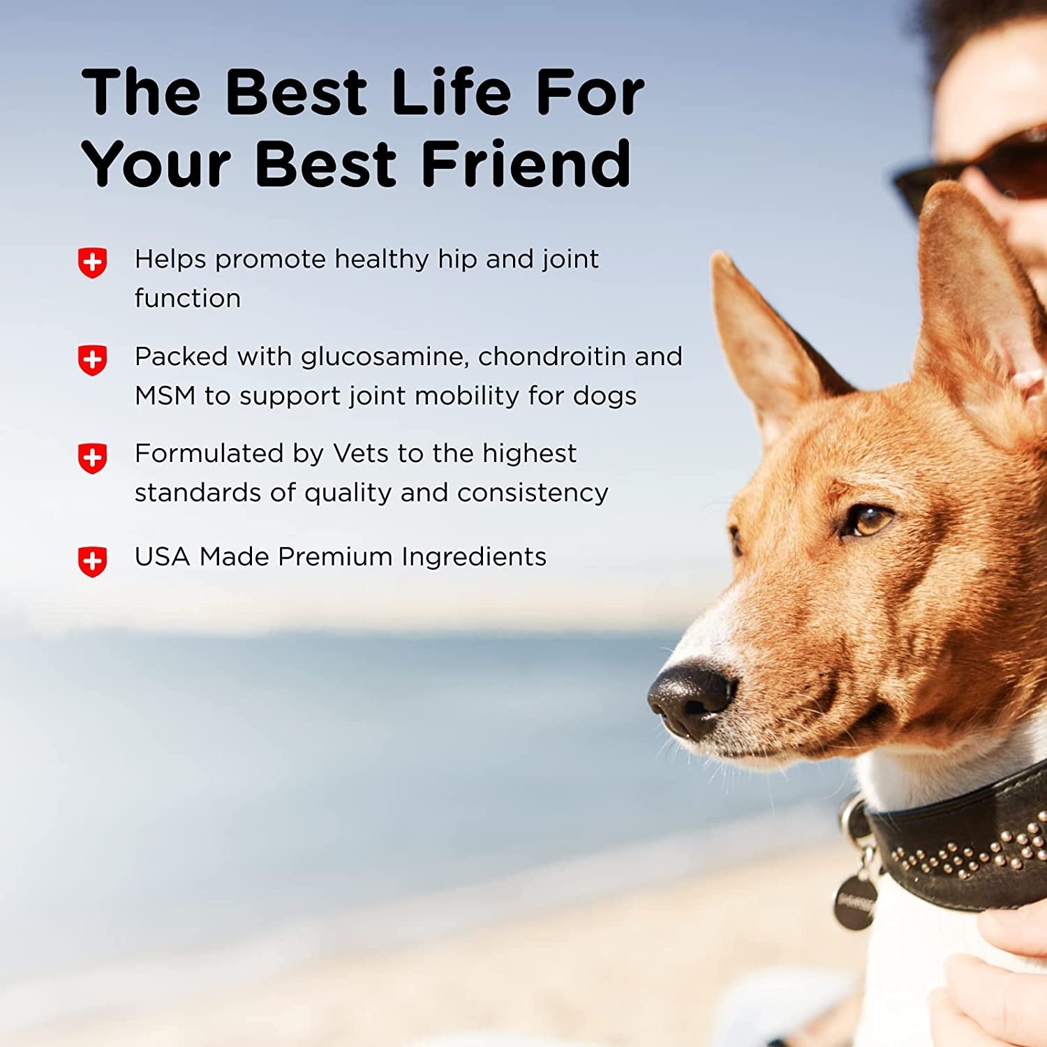 Advanced Strength Hip & Joint Chewable Tablets for Senior Dogs