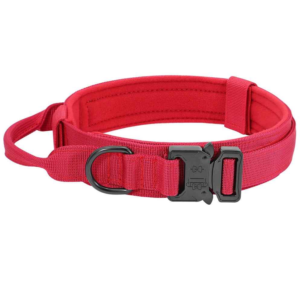 Durable Dog Collar &amp; Leash Set — Adjustable, Comfortable, Everyday Use