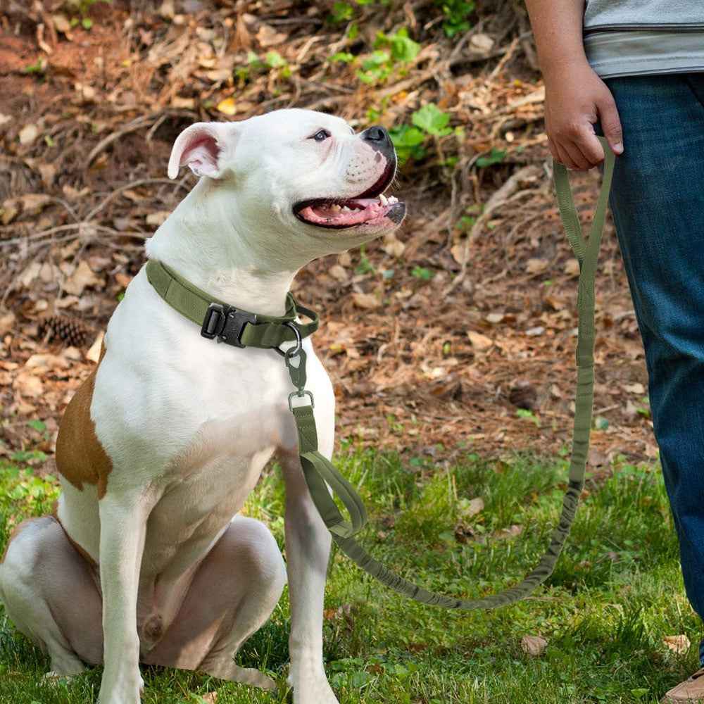 Durable Dog Collar &amp; Leash Set — Adjustable, Comfortable, Everyday Use