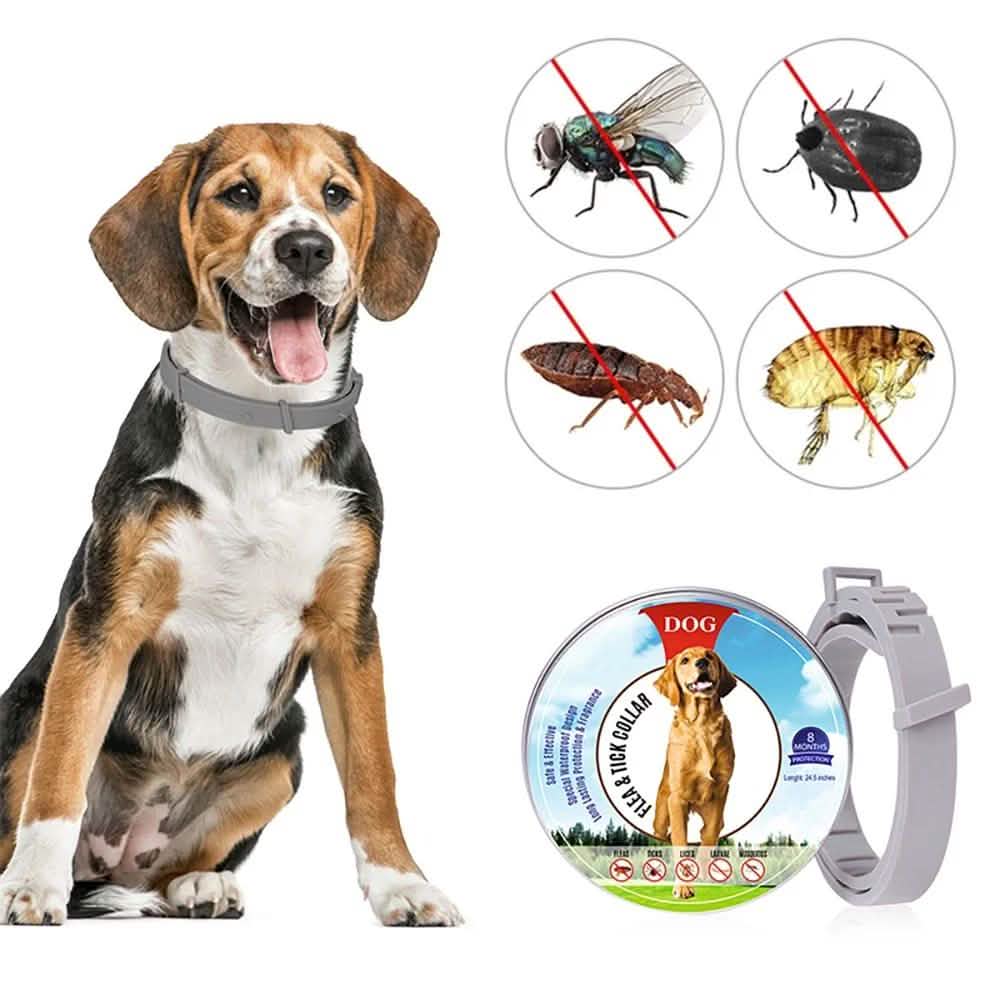 Dog Flea and Tick Collar with Essential Oils, Adjustable, Grey