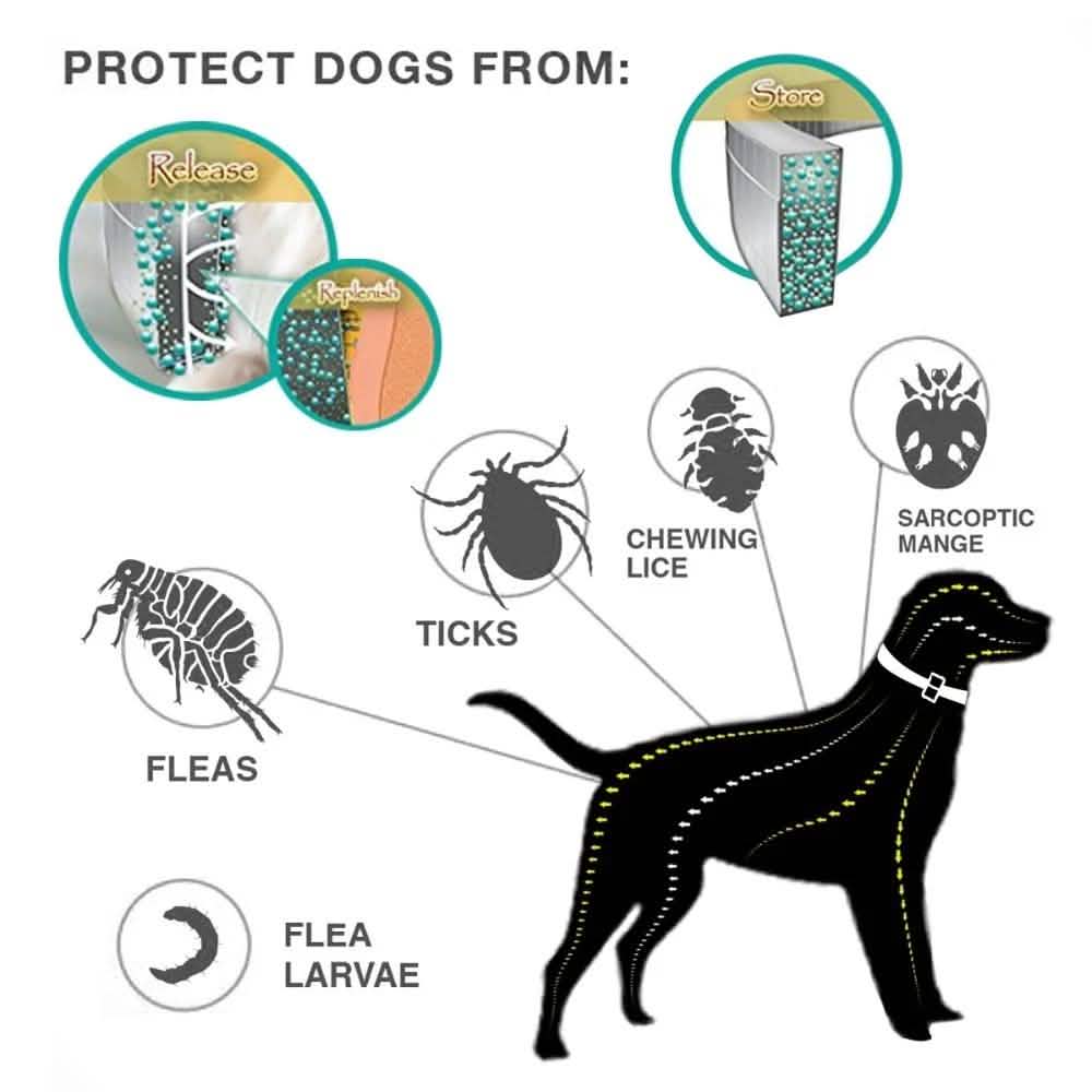Dog Flea and Tick Collar with Essential Oils, Adjustable, Grey