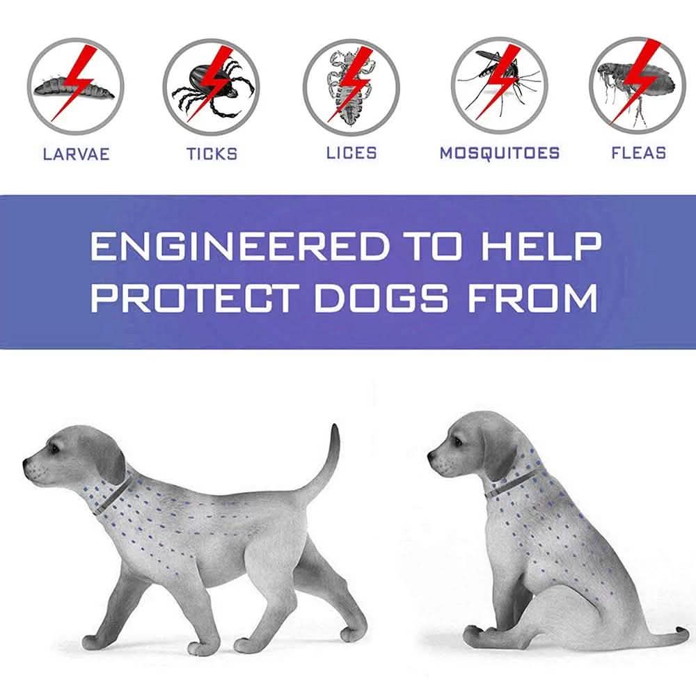 Dog Flea and Tick Collar with Essential Oils, Adjustable, Grey