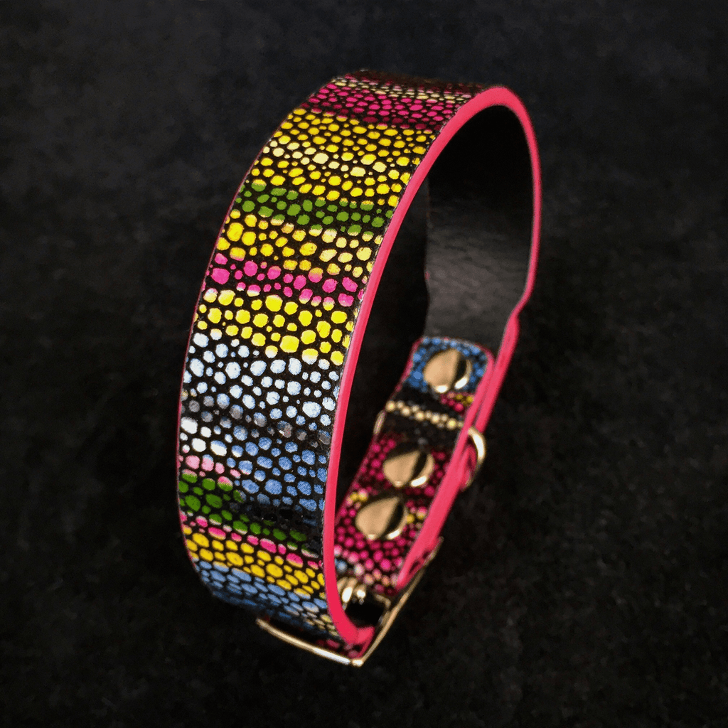 Moby Genuine Leather Dog Collar for Small Breeds by Bestia
