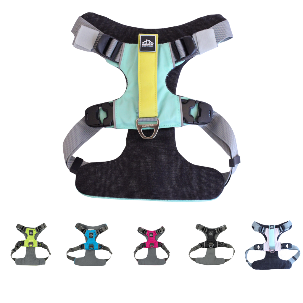 EZ Fit™ Adjustable Dog Harness with Padded Comfort