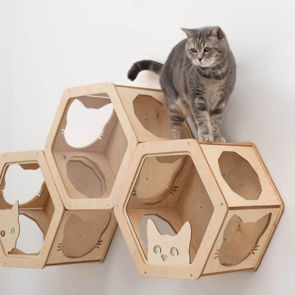Hexagon Cat Shelves with Felt Lining – Modular Wall-Mounted Set