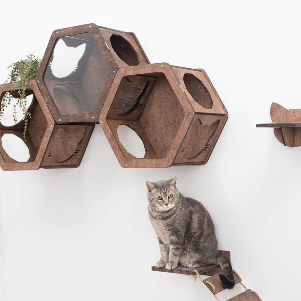 Hexagonal Cat Wall Shelves with Felt Pad – Modular, Customizable
