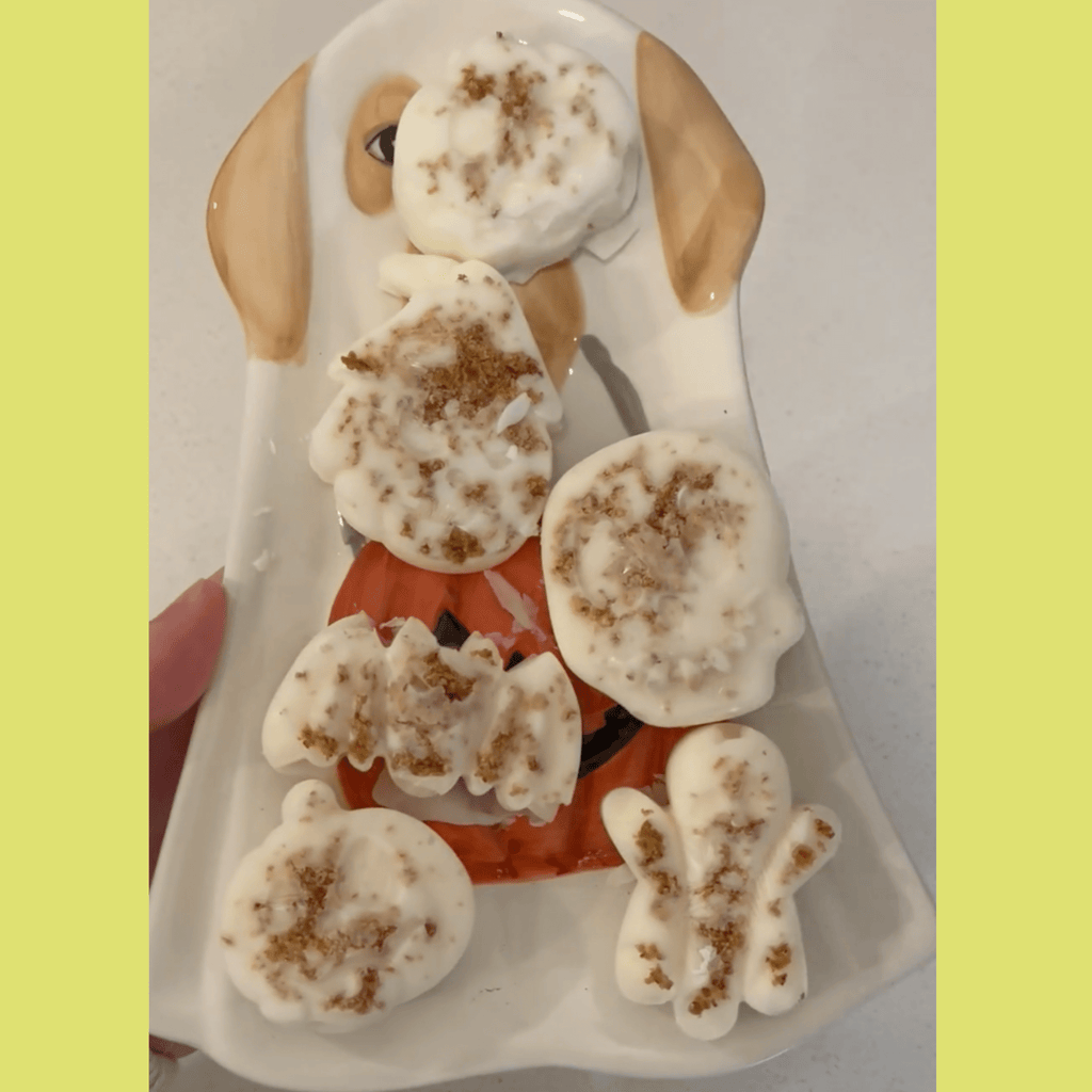 Silicone Treat Mold for Homemade Dog and Cat Snacks, 4.25" x 6.75"