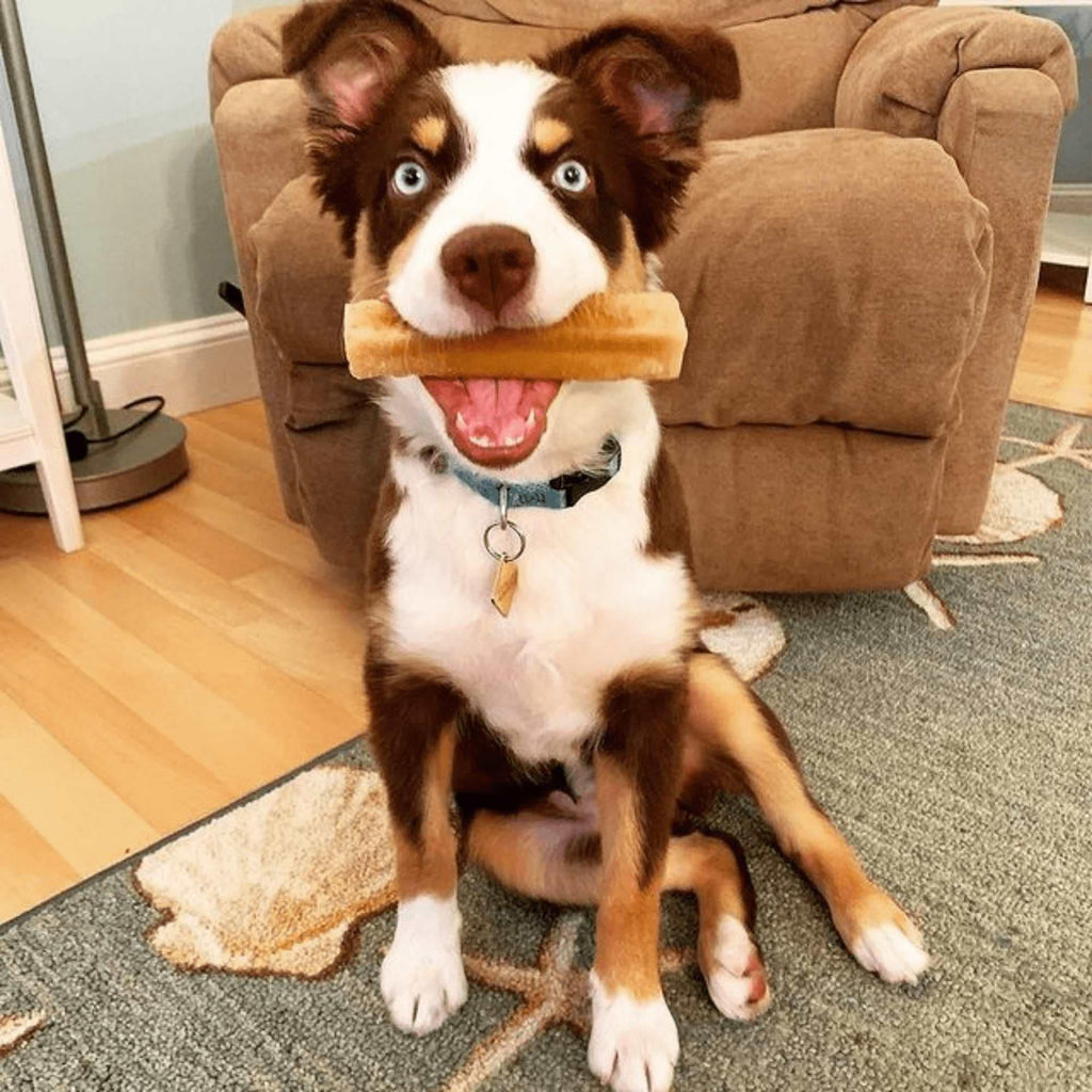 Honey Yak Cheese Dog Chews with Organic Himalayan Honey