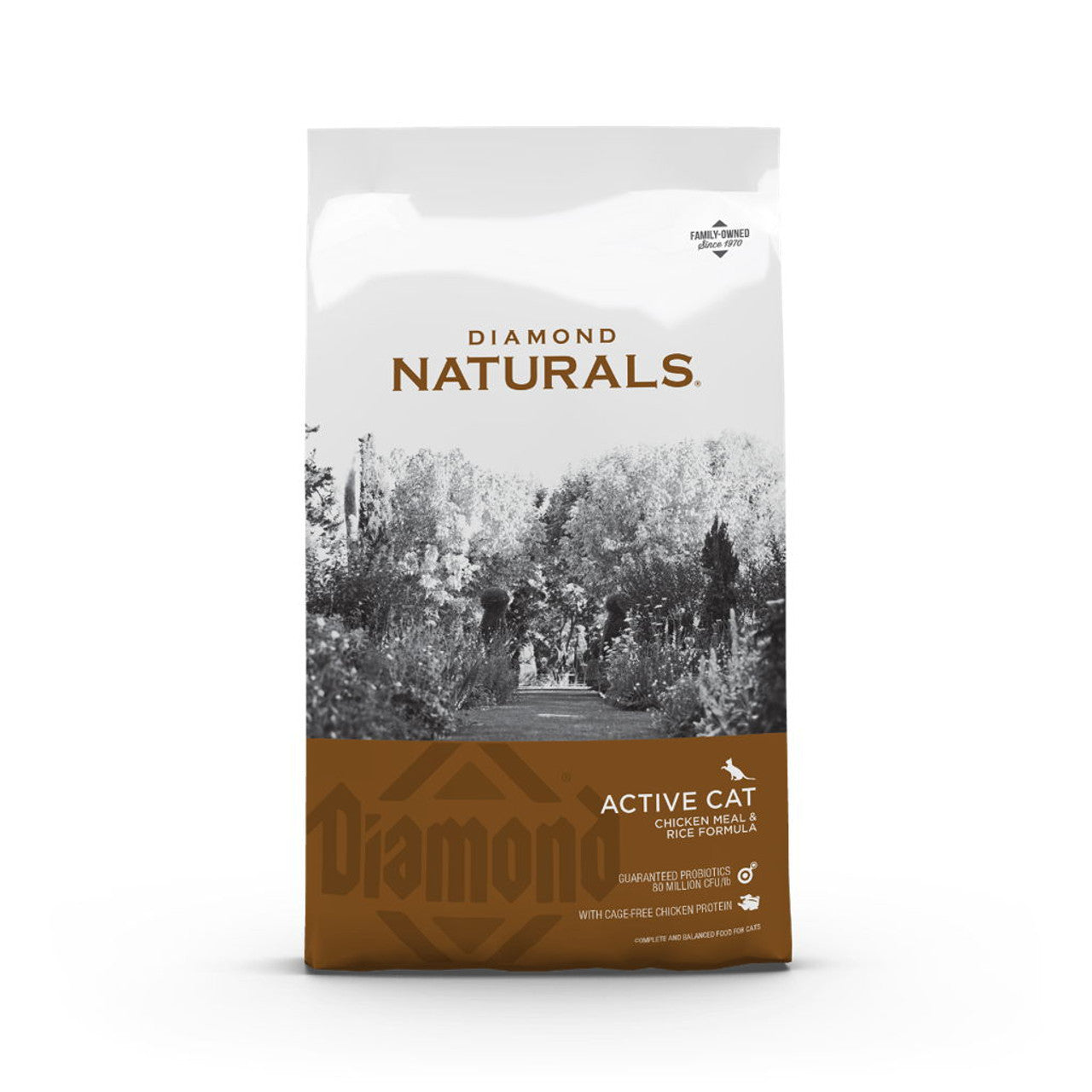 High-Protein Chicken Meal Cat Food with Salmon Oil & Superfoods