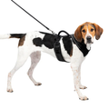 EasySport Dog Harness with Padded Comfort and Reflective Trim