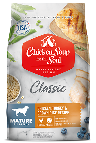 Chicken & Turkey Recipe Dry Dog Food with Wholesome Grains