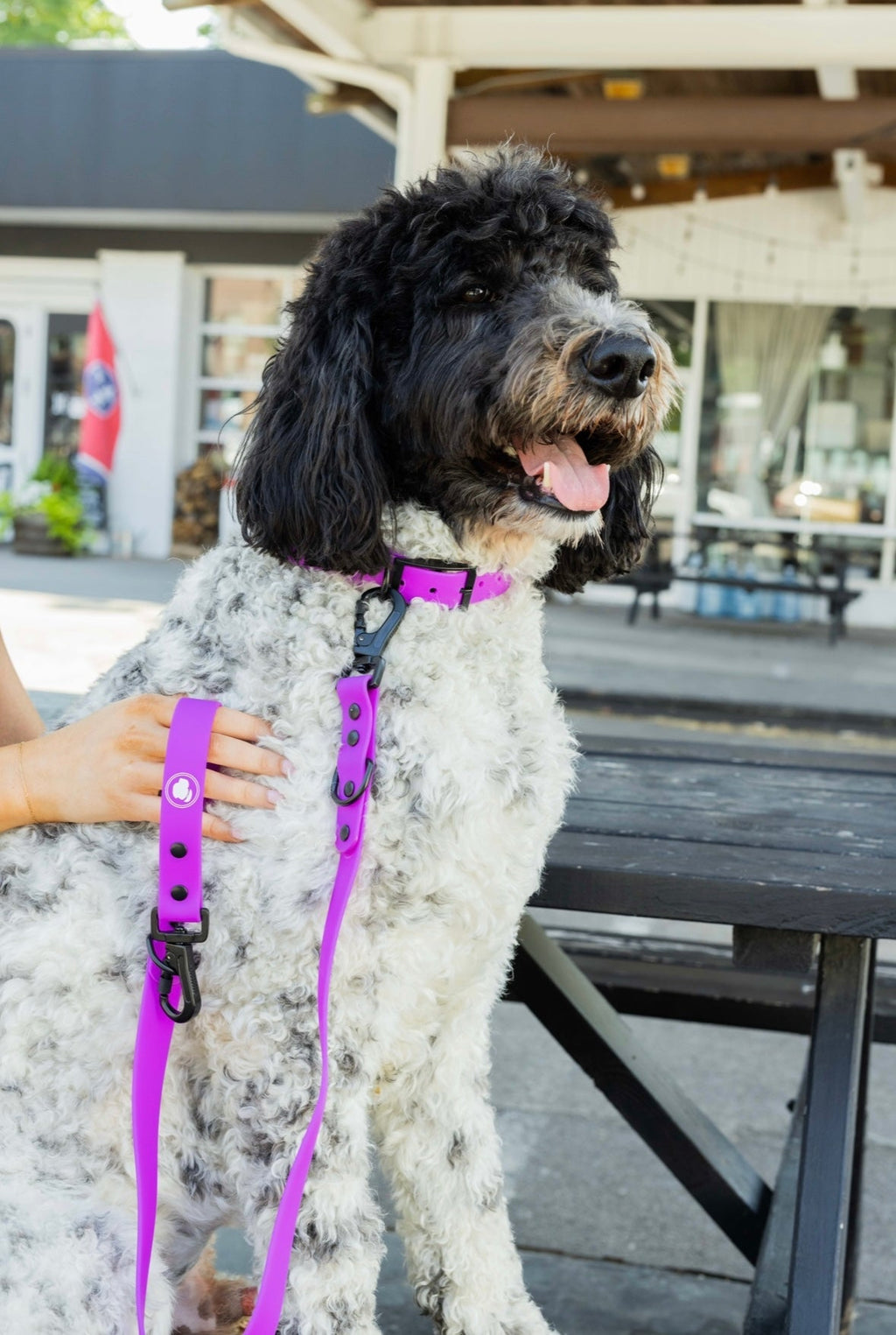 Back to Basics Adjustable Dog Leash, All-Weather, 54" Length
