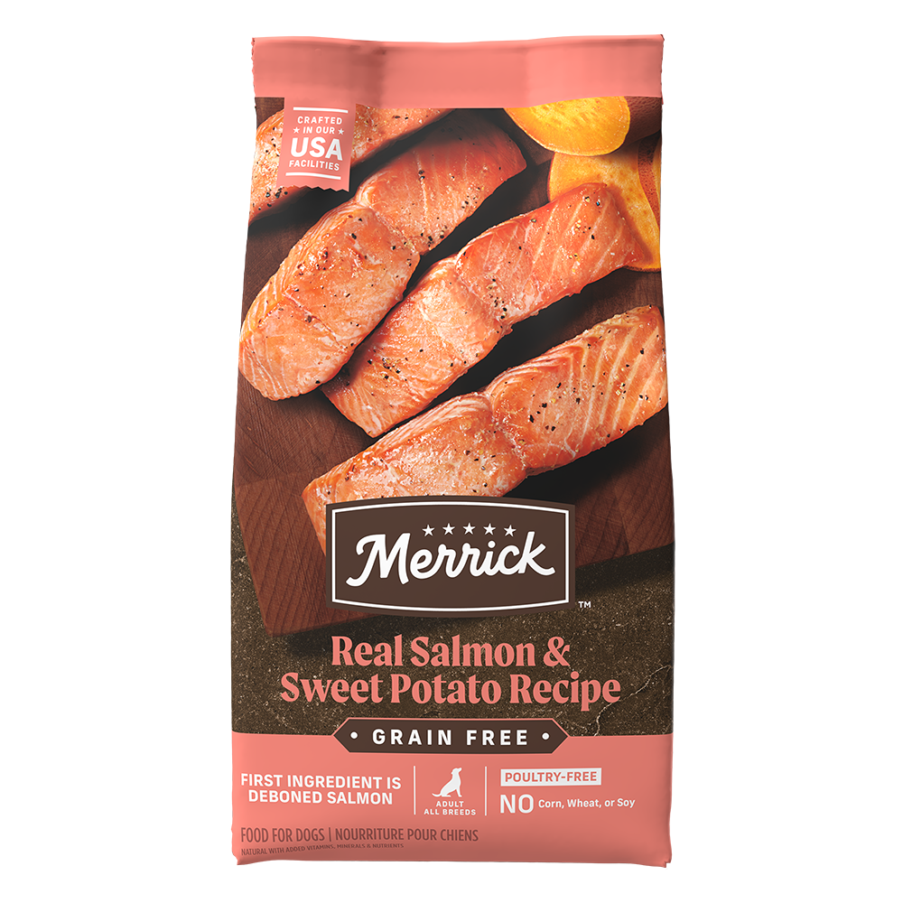High-Protein Salmon Recipe Grain-Free Adult Dog Food