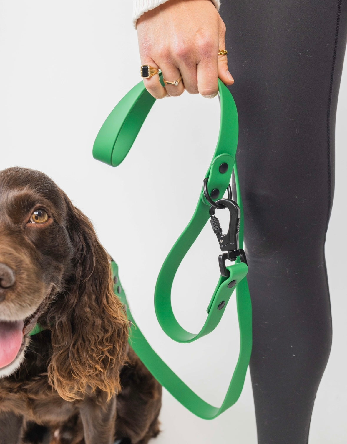 Back to Basics Adjustable Dog Leash – All-Weather, 54" Length
